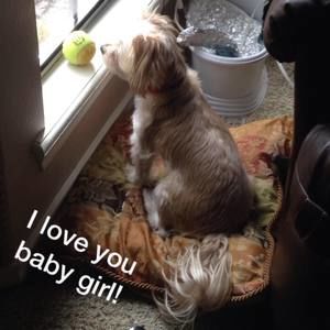 Meet your Posher, Angela